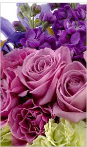 Check spelling or type a new query. A Guy S Guide To Buying Flowers For Women Teleflora