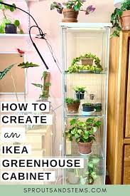 Ikea Greenhouse Cabinet Hack Sprouts And Stems In 2021 Indoor Greenhouse House Plant Care Diy Greenhouse