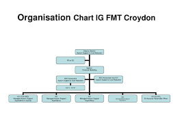 ppt organisation chart ig fmt croydon powerpoint