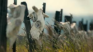 Unsolved Mysteries" Mysterious Mutilations (TV Episode 2024)