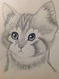 Simple Pencil Drawings Of Animals Pencil Drawings Of Animals Pencil Drawings Easy Cartoon Pencil Drawing