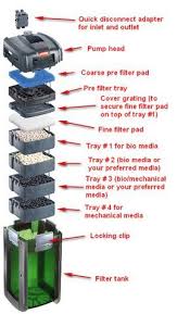 Eheim Canister Filter Media Installation Diy Aquarium Filter Fish Aquarium Decorations Aquarium Sump
