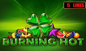 Play burning hot 6 reels free demo from egt and read our review with rating. Burning Hot Slot Machine Game Free Play Online Dbestcasino Com