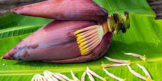 Jantung pisang mempunyai beberapa kandungan yang bermanfaat untuk tubuh. Kj Wwxuwu7k M