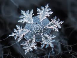 We've created 9 free printable snowflake templates that you can print off (you'll find those. Photos Of Snowflakes Up Close
