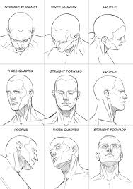 Human Head Sheet By Hoelho On Deviantart Anatomy Art Anatomy Sketches Human Figure Drawing