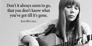 Miss lee grinned knowing it wasn't the first time i used foundation to hide an injury. Vincent Maduakor On Twitter Don T It Always Seem To Go That You Don T Know What You Ve Got Till It S Gone Joni Mitchell Quote Inspiration