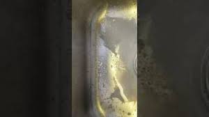 See full list on doesitgobad.com How To Tell If Almond Milk Is Bad Youtube