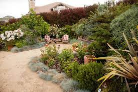 Real People Real Savings Save Our Water Low Water Landscaping Drought Tolerant Landscape Drought Resistant Landscaping