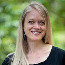 Psychedelic Psychotherapy Research Team