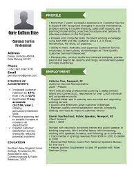 Cv Template Resume Examples Computer Skills How To Plan Proactive Templates Curric Template Bahasa Bahasa Inggris