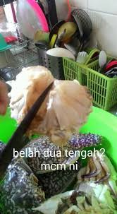 Cara memasak dan bersihkan ketam: Ooo Macam Ni Cara Siang Ketam Tapi Pen Hitam Dot Com Facebook