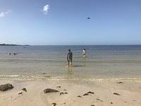 , fort myers, fl 33908. Bunche Beach Fort Myers 2021 All You Need To Know Before You Go Tours Tickets With Photos Tripadvisor
