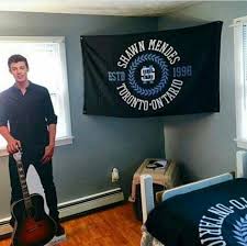 I Love This Room Shawn Mendes Shawn Mendes Merch Shawn