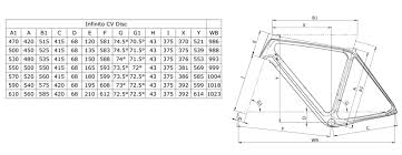 bianchi infinito cv disc ultegra 2020 4599