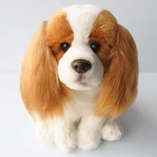 We may earn commission on some of the items. Cavalier King Charles Spaniel Dog Blenheim Floppy Soft Cuddly Toy 12 Inches Amazon De Toys Games