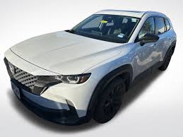 Image result for Wind Chill 2025 TX