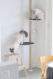 Eilen Tein Kiipeilypuu I Ikea Stolmen Diy Cat Tree Ikea Cat Diy Cat Tree Cat Tree