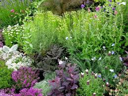 Pin On Gardening