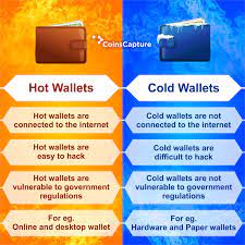 Hot wallets derive their name from the fact that they need electricity to work. Hot Wallet Vs Cold Wallet Blockchain Cryptocurrency Blockchain Wallet Bitcoin Business