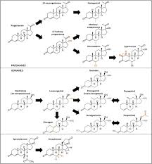 Image result for Third Generation Progestin