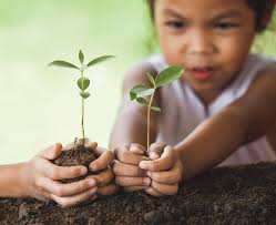 Principles of Community Engagement—3rd Edition