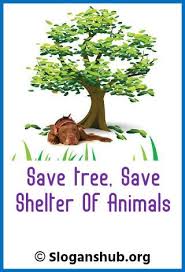  Trees Are Important For Us To Live As They Not Only Provide Oxygen But Also Absorb Carbon Dioxide They Also Maintain Save Trees Slogans Tree Slogan Save Trees