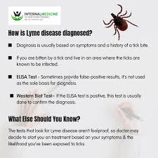 How Is Lyme Disease Diagnosed Lyme Disease Disease Lyme