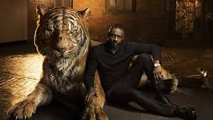 You can get appointment of doctor by a phone call or you can visit hospital or clinic on given address. Shere Khan 1080p 2k 4k 5k Hd Wallpapers Free Download Wallpaper Flare