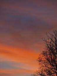 Aesthetic,anime,wallpaper,aesthetic wallpaper,aesthetic anime loops,aesthetic anime clips,anime wallpaper,aesthetic anime,aesthetic anime audio,aesthetic anime video,top 5 aesthetic anime loops,aesthetic fonts,aesthetic edits,aesthetic backgrounds. Hd Wallpaper Afterglow Mood Romantic Tree Aesthetic Silhouette Sunset Wallpaper Flare