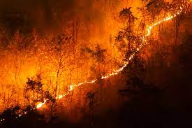 Everything you need to know from how to get to martha's vineyard ferries, where to stay, restaurants, lighthouses, things to do, ice cream, biking, beaches, arts and entertainment. Fogo Controlado Pode Ajudar A Evitar Grandes Incendios Florestais Diz Estudo Super