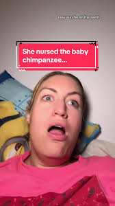 Chimp Crazy Episode 2 Preview