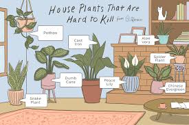 Gently snip a few leaves from each plant. 12 Houseplants Anyone Can Grow