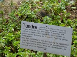 Ihr wertvolles reisewissen ist jetzt gefragt. Tundra Explained Picture Of Botanischer Garten Erlangen Tripadvisor