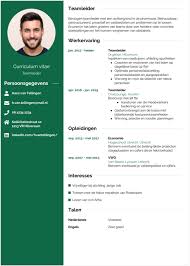Een Perfect Cv Voorbeeld Voor Een Teamleider Beaks Nl