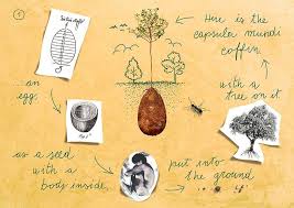 Forget Coffins Organic Burial Pods Will Turn Your Loved Ones Into Trees Burial Pods Burial Biodegradable Products