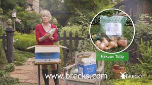 Check spelling or type a new query. Linda S Flowers Coupon 09 2021