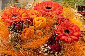 We did not find results for: Top Wedding Flowers For November Gardening Channel
