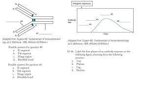 Immunology Chapter 2 Questions Diagram Quizlet