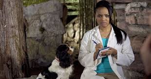 However, because they are preventive in nature, they are usually not covered by a pet insurance policy, which focuses on. 7 Best Pet Insurance Companies 2020 The Strategist New York Magazine