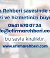Ercis Hali Yikama Firma Rehberi