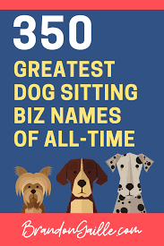 Pet sitting is a business that has been around for quite some time, but with the focus onto people's furry friends, this type of service is in higher if you have a passion for animals and are looking into starting a business, pet sitting may be perfect for you. 350 Good Catchy Dog Sitting Business Names Brandongaille Com