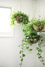 This set of 3 hanging glass planters are perfect for propagating plants, for floral arrangements, or as bud vases. Easy Hanging Planter Diy A Beautiful Mess