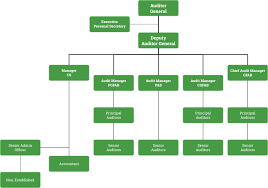 office of the auditor general organisational structure