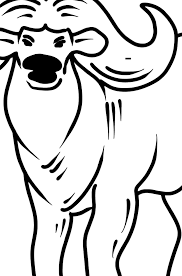 Previous first page last page next. Buffalo Coloring Page Color Online For Free
