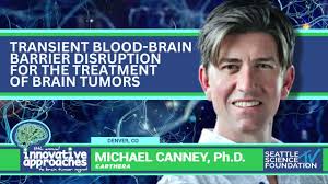 Transient Blood Brain Barrier Disruption for the Treatment of Brain Tumors 