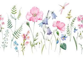 Yara flowers is a downtown calgary florist that designs and delivers fine flower arrangements and bouquets for weddings and other special events such as birthdays, anniversaries, valentine's day, and mother's day. Anne Of Green Gables