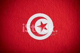 Tunisien vid afrikas medelhavskust har under olika epoker invaderats av fenicier, romare, araber, osmaner och fransmän. Flagga Tunisien Stockfoton Freeimages Com