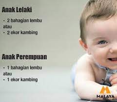 Digital ummat adalah channel yang yang. Akikah Anak Lelaki Bahagian Lembu