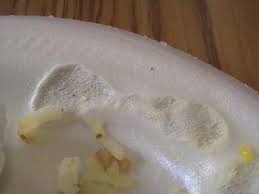 We did not find results for: How Long Can You Microwave Styrofoam And Is It Safe Best Kitchen Helpers